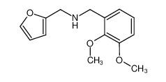 (2,3-DIMETHOXY-BENZYL)-FURAN-2-YLMETHYL-AMINE 436086-81-6