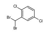 10203-02-8 α,α-Dibrom-2,5-dichlor-toluol