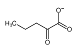 13123-54-1 spectrum, α-ketovalerate