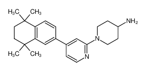 1-(4-(5,5,8,8-tetramethyl-5,6,7,8-tetrahydronaphthalen-2-yl)pyridin-2-yl)piperidin-4-amine 1378364-01-2