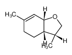 13955-48-1 structure, C10H16O