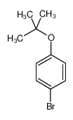 1-溴-4-叔丁氧基苯