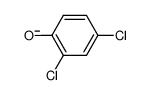 3317-66-6 structure, C6H3Cl2O-