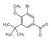 1-bromo-3-tert-butyl-2-methoxy-5-nitrobenzene 1132940-55-6