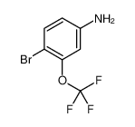 4-Bromo-3-(trifluoromethoxy)aniline 116369-25-6