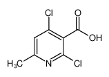 2,4-dichloro-6-methylpyridine-3-carboxylic acid 56022-07-2