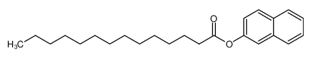 2-Naphthyl Myristate 7262-80-8