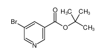 5-溴烟酸叔丁酯