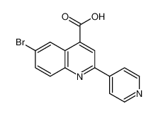 6-bromo-2-pyridin-4-ylquinoline-4-carboxylic acid 1016798-13-2