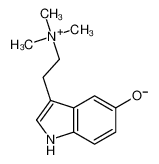 3-[2-(trimethylazaniumyl)ethyl]-1H-indol-5-olate 487-91-2