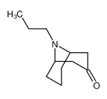 60206-11-3 structure, C11H19NO