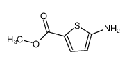 Methyl 5-aminothiophene-2-carboxylate 14597-58-1