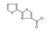 2-thiophen-2-yl-1,3-thiazole-4-carbonyl chloride 306934-98-5