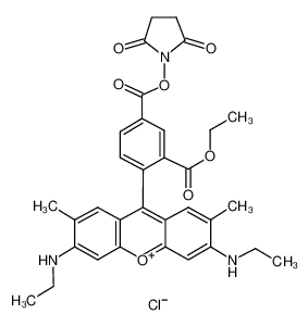 5-Carboxyrhodamine 6G succinimidyl ester 209112-21-0