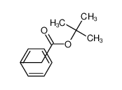叔-丁基苯乙酸酯