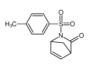 109000-07-9 3-(4-methylphenyl)sulfonyl-3-azabicyclo[2.2.1]hept-5-en-2-one