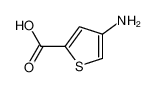 4-氨基噻吩-2-羧酸