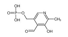 Pyridoxal 5′-phosphate hydrate 853645-22-4