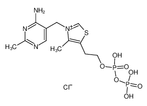 154-87-0 焦磷酸硫胺素