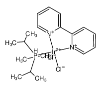 1190112-16-3 structure, C19H31Cl2IrN2P++