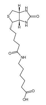 N-生物素己酸