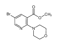 methyl 5-bromo-2-morpholin-4-ylpyridine-3-carboxylate