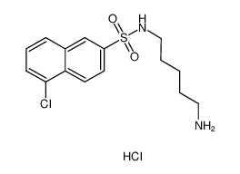 N-(5-氨基戊基)-5-氯-1-萘磺酰胺盐酸盐