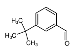 3-叔丁基苯甲醛