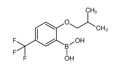 2-异丁氧基-5-(三氟甲基)苯硼酸