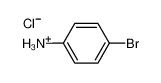 4-bromoanilinium chloride 624-19-1