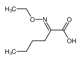 92383-45-4 2-ethoxyimino-hexanoic acid