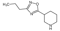 5-piperidin-3-yl-3-propyl-1,2,4-oxadiazole 902837-18-7