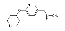 910036-99-6 structure, C12H18N2O2