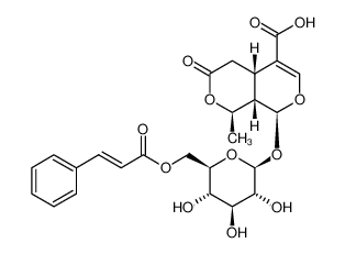 6'-O-反式-肉桂酰 8-表金吉苷酸