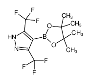 4-(4,4,5,5-tetramethyl-1,3,2-dioxaborolan-2-yl)-3,5-bis(trifluoromethyl)-1H-pyrazole 1204334-20-2