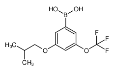 3-Isobutoxy-5-(trifluoromethoxy)phenylboronic acid 1256346-03-8