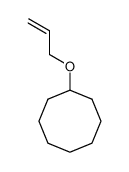 1337990-77-8 allyl cyclooctyl ether