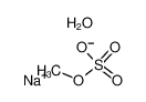 6106-12-3 structure, CH5NaO5S