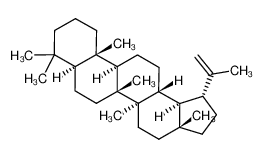 LUP-20(29)-ENE 1721-81-9