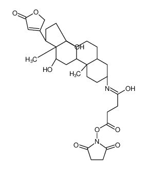 (2,5-dioxopyrrolidin-1-yl) 4-[[(3S,5R,8R,9S,10S,12R,13S,14S,17R)-12,14-dihydroxy-10,13-dimethyl-17-(5-oxo-2H-furan-3-yl)-1,2,3,4,5,6,7,8,9,11,12,15,16,17-tetradecahydrocyclopenta[a]phenanthren-3-yl]amino]-4-oxobutanoate 216299-46-6