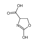 2-Oxo-1,3-oxazolidine-4-carboxylic acid