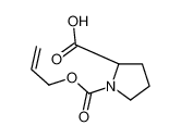 110637-44-0 structure, C9H13NO4