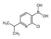 2-氯-6-异丙基吡啶-3-硼酸