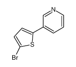 3-(5-bromothiophen-2-yl)pyridine 169050-05-9