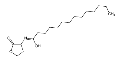 高丝氨酸内酯图片