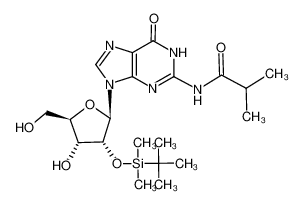 N2-isobutyryl-2'-O-tertbutyldimethylsilyl guanosine