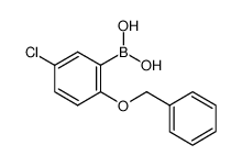 2-苄氧基-5-氯苯硼酸