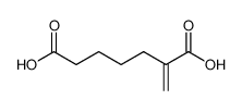 33229-02-6 structure, C8H12O4