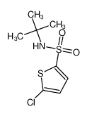 N-Tert-Butyl-5-Chlorothiophene Sulfonamide 155731-14-9