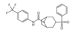 3-(benzenesulfonyl)-N-[4-(trifluoromethyl)phenyl]-8-azabicyclo[3.2.1]octane-8-carboxamide 1170321-78-4